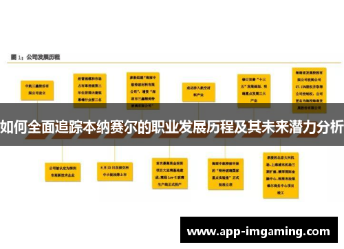 如何全面追踪本纳赛尔的职业发展历程及其未来潜力分析