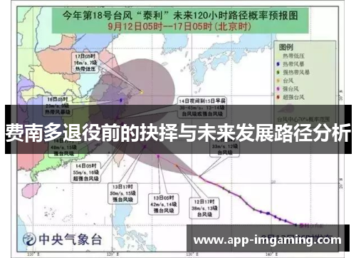 费南多退役前的抉择与未来发展路径分析