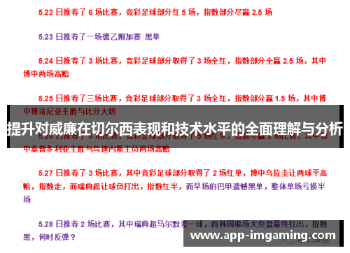 提升对威廉在切尔西表现和技术水平的全面理解与分析